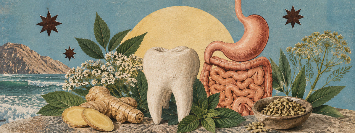 The Ayurvedic View of Strong Bones & Teeth